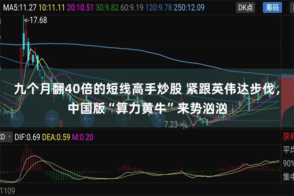 九个月翻40倍的短线高手炒股 紧跟英伟达步伐，中国版“算力黄牛”来势汹汹