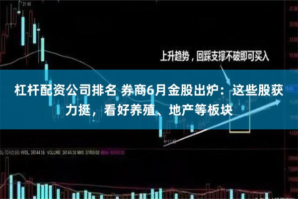 杠杆配资公司排名 券商6月金股出炉：这些股获力挺，看好养殖、地产等板块