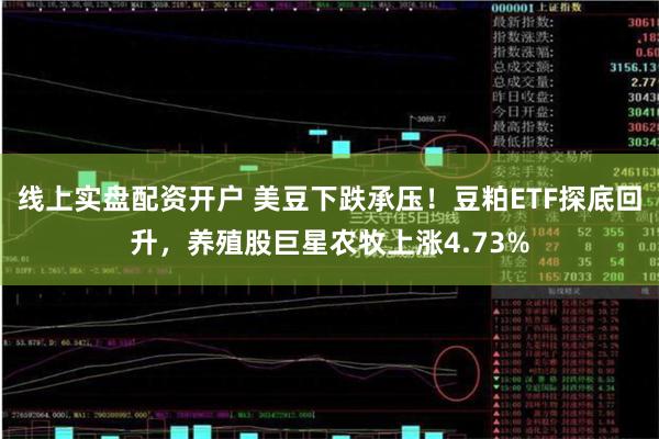 线上实盘配资开户 美豆下跌承压！豆粕ETF探底回升，养殖股巨星农牧上涨4.73%