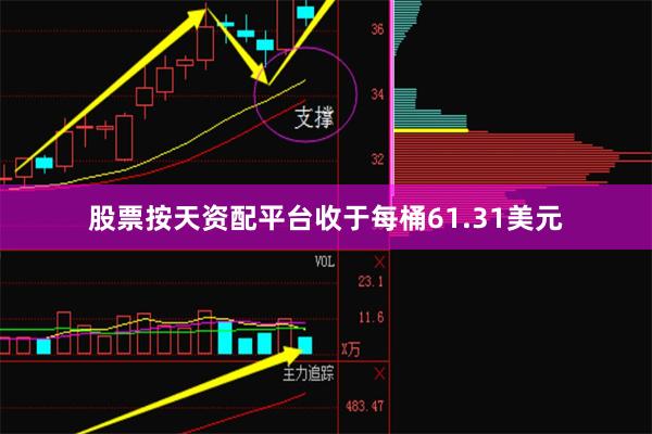 股票按天资配平台收于每桶61.31美元